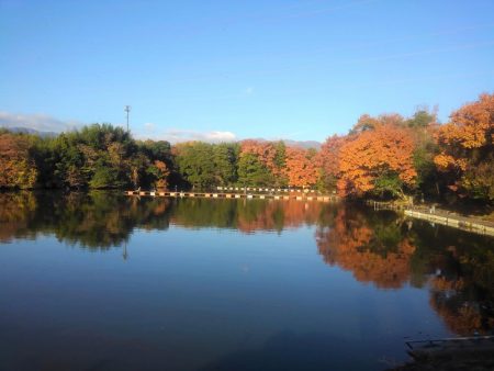 大安トラウトレイク釣果